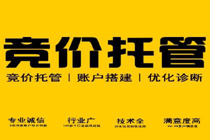 百度推广平台在旅游行业的应用案例